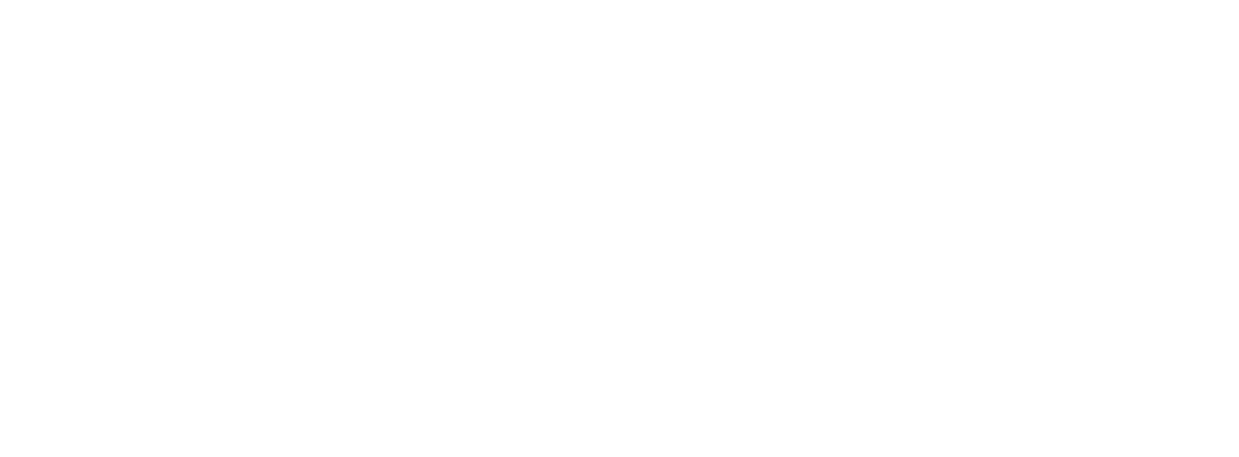 ibm-logo-white